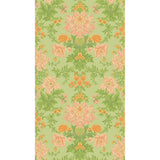 Cole & Son POPPIES PEACH Wallpaper