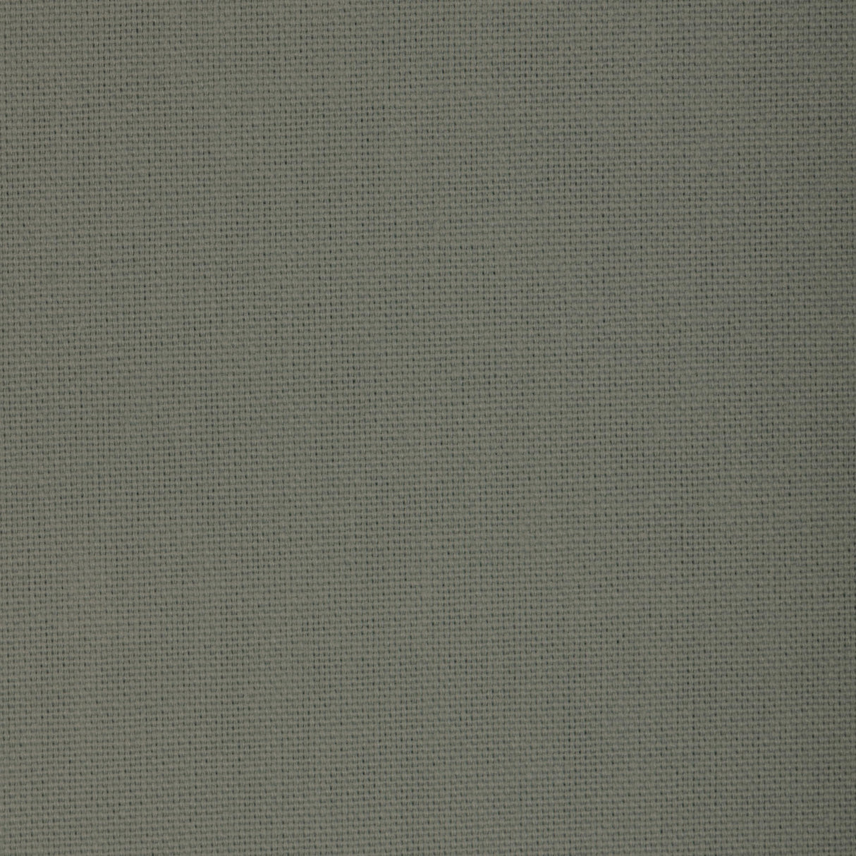 Kravet BASICS 33842 1311 Fabric