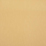 Pindler CARTER PAPYRUS Fabric