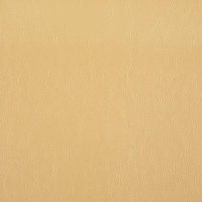 Pindler CARTER PAPYRUS Fabric