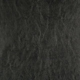 Pindler CARTER BLACK Fabric