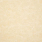 Pindler HIGGINS BONE Fabric