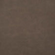 Pindler HIGGINS MESQUITE Fabric