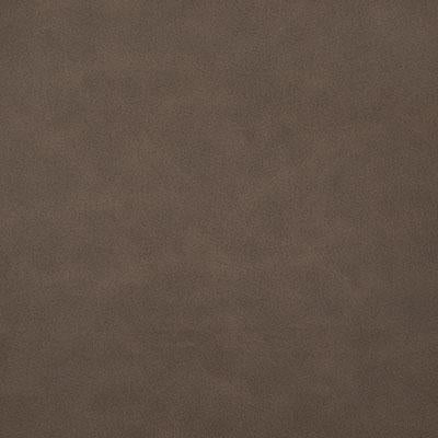 Pindler HIGGINS MESQUITE Fabric