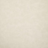 Pindler HIGGINS IVORY Fabric