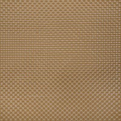 Pindler KAYCE DUNE Fabric