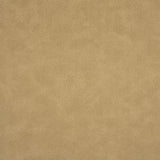 Pindler HIGGINS DUNE Fabric