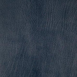 Pindler ROWDY NAVY Fabric