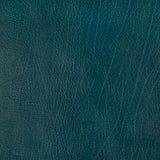 Pindler ROWDY PEACOCK Fabric