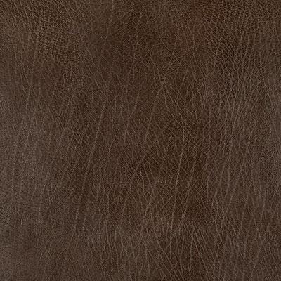 Pindler ROWDY EARTH Fabric