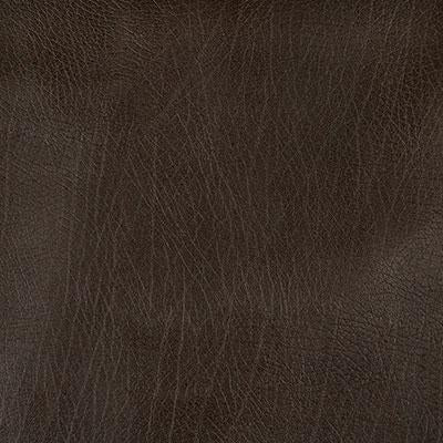 Pindler ROWDY CHOCOLATE Fabric