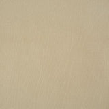 Pindler ROWDY PUMICE Fabric