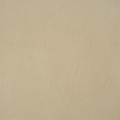 Pindler ROWDY PUMICE Fabric
