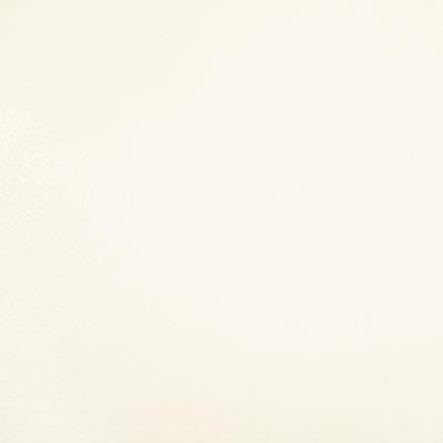 Pindler ROWDY WHITE Fabric
