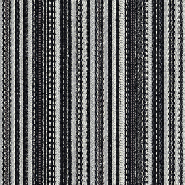 Donghia WINDSWEPT NERO Upholstery Fabric