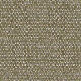 Donghia FAIR WEATHER SPRIG Upholstery Fabric
