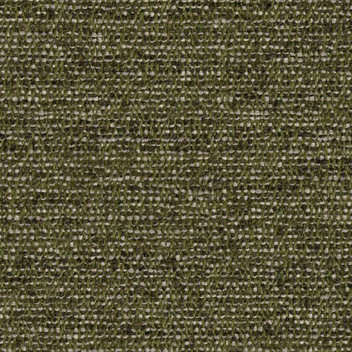 Donghia FAIR WEATHER OLIVE Upholstery Fabric