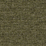 Donghia FAIR WEATHER OLIVE Upholstery Fabric