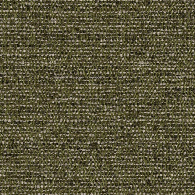 Donghia FAIR WEATHER OLIVE Upholstery Fabric