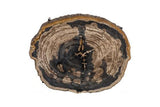 Phillips Collection Chaka Petrified , Mixed With Black Legs Coffee Table