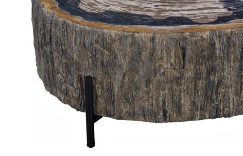 Phillips Collection Chaka Petrified , Mixed With Black Legs Coffee Table