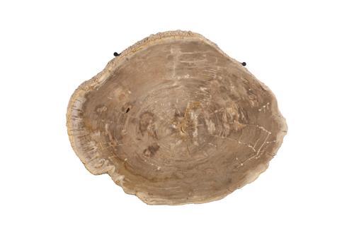 Phillips Collection Chaka Petrified , Cream With Black Legs Coffee Table
