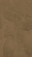 Veer Decor Stucco Arc Brown Wall Mural