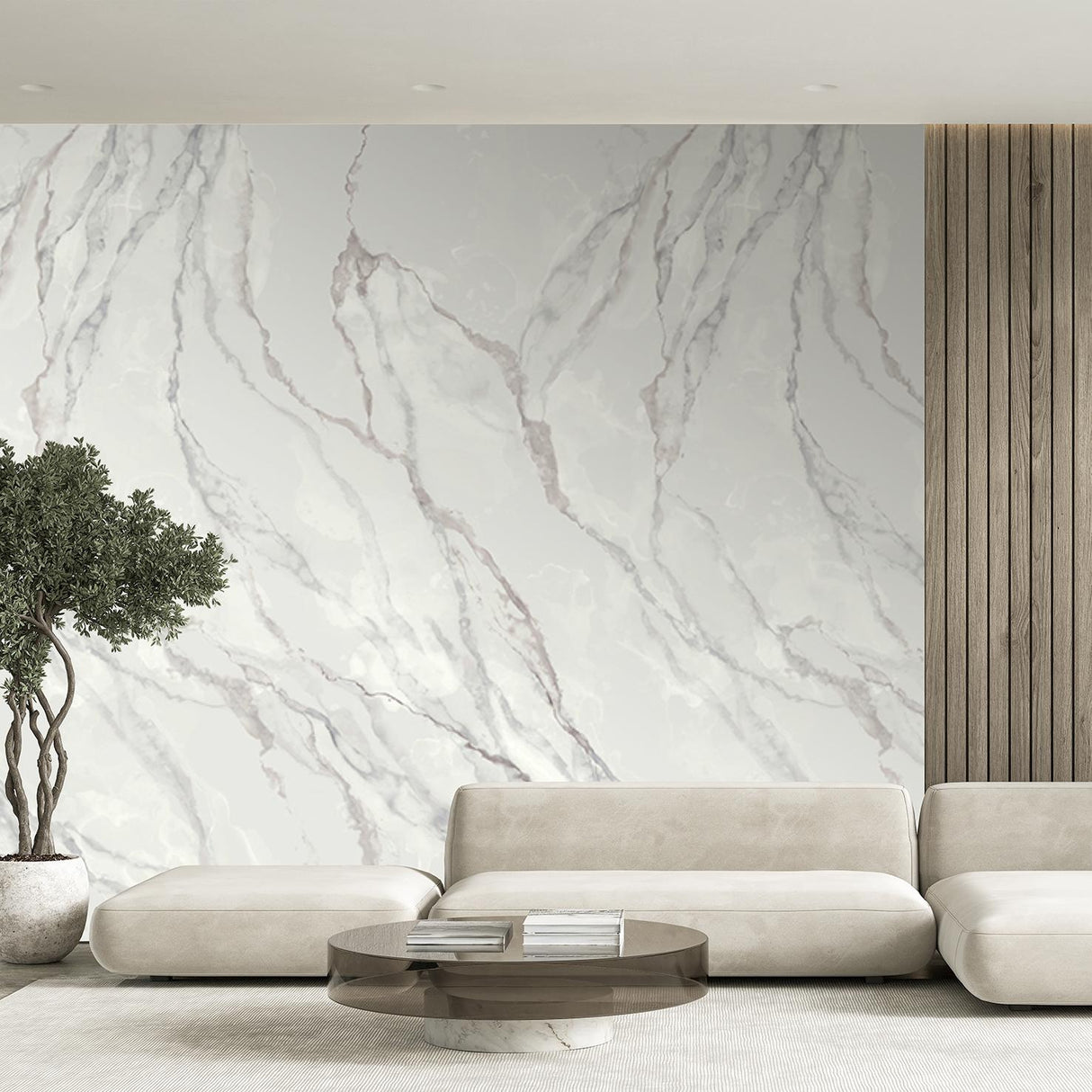 Veer Decor Marble Mirage Grey Wall Mural