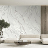Veer Decor Marble Mirage Grey Wall Mural