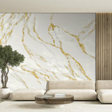 Veer Decor Marble Mirage Tan Wall Mural