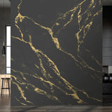 Veer Decor Marble Mirage Black Wall Mural