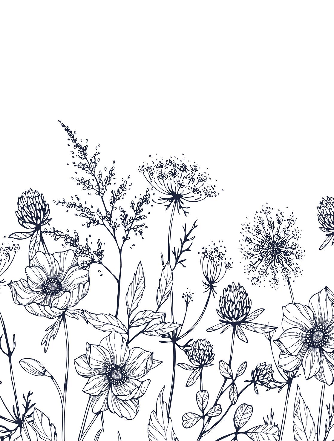 Veer Decor Meadow Bloom Sketch Black Wall Mural