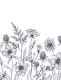 Veer Decor Meadow Bloom Sketch Black Wall Mural