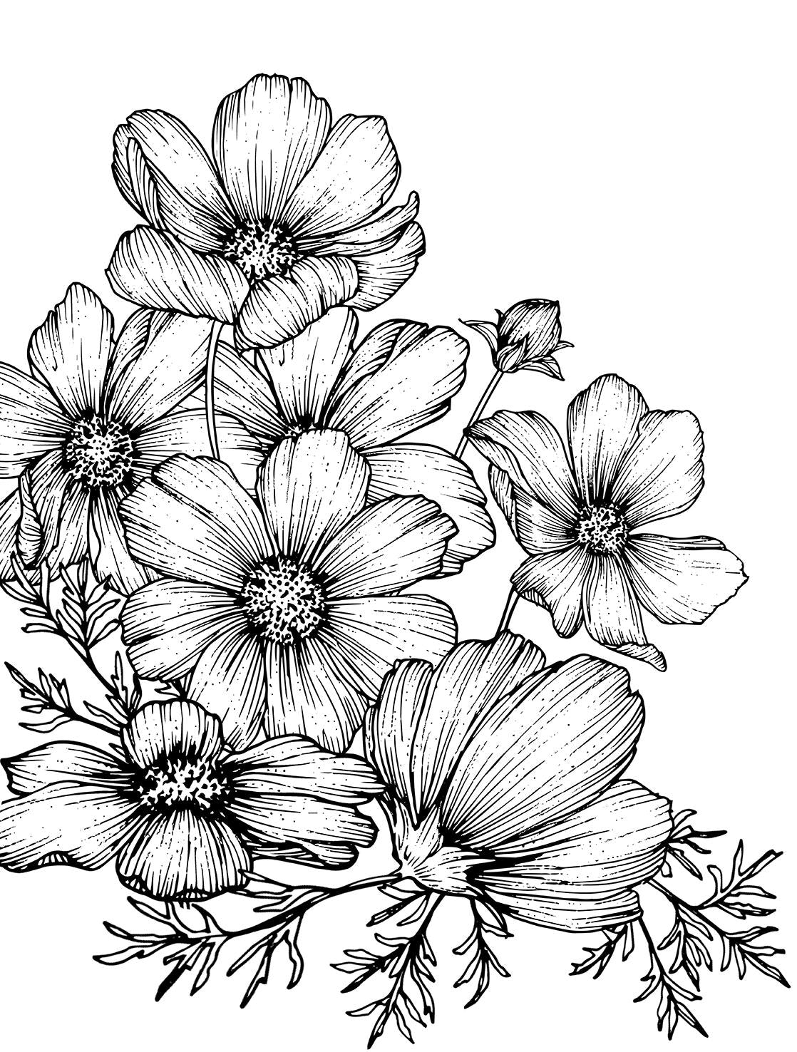Veer Decor Poppies Linework White Wall Mural