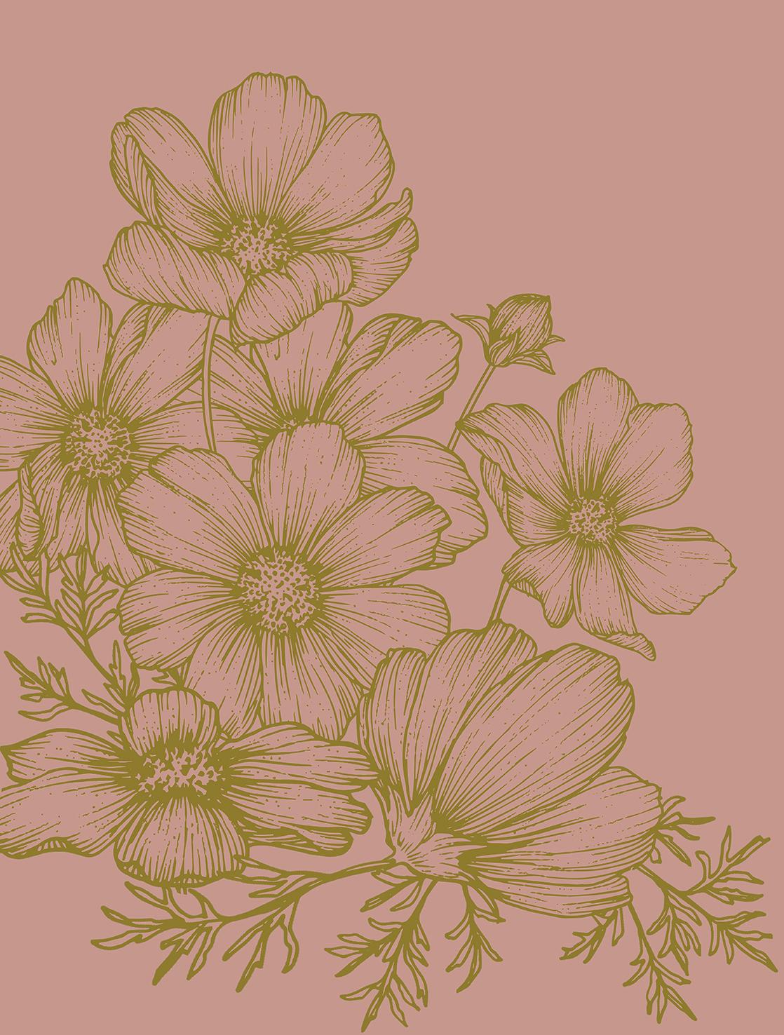 Veer Decor Poppies Linework Pink Wall Mural