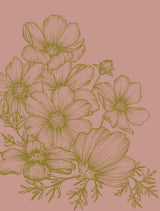 Veer Decor Poppies Linework Pink Wall Mural