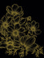 Veer Decor Poppies Linework Black Wall Mural