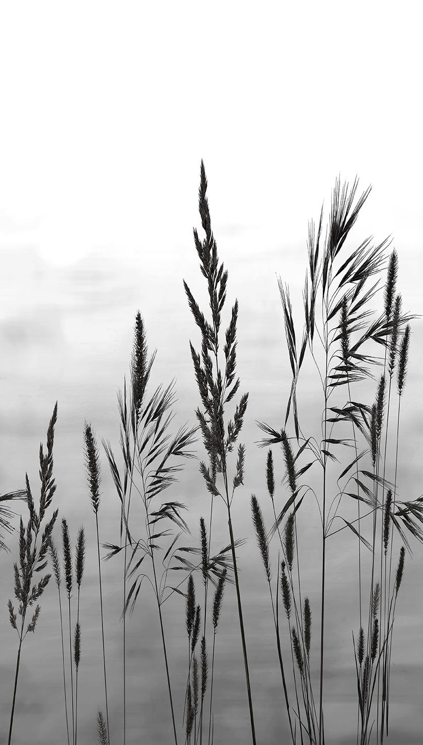 Veer Decor Willow Grass White Wall Mural
