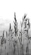 Veer Decor Willow Grass White Wall Mural