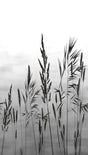 Veer Decor Willow Grass White Wall Mural