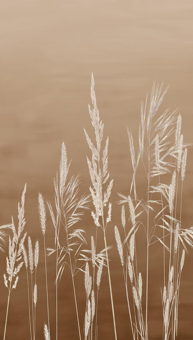 Veer Decor Willow Grass Brown Wall Mural