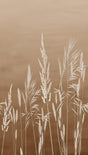 Veer Decor Willow Grass Brown Wall Mural