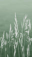 Veer Decor Willow Grass Green Wall Mural