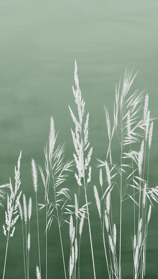 Veer Decor Willow Grass Green Wall Mural