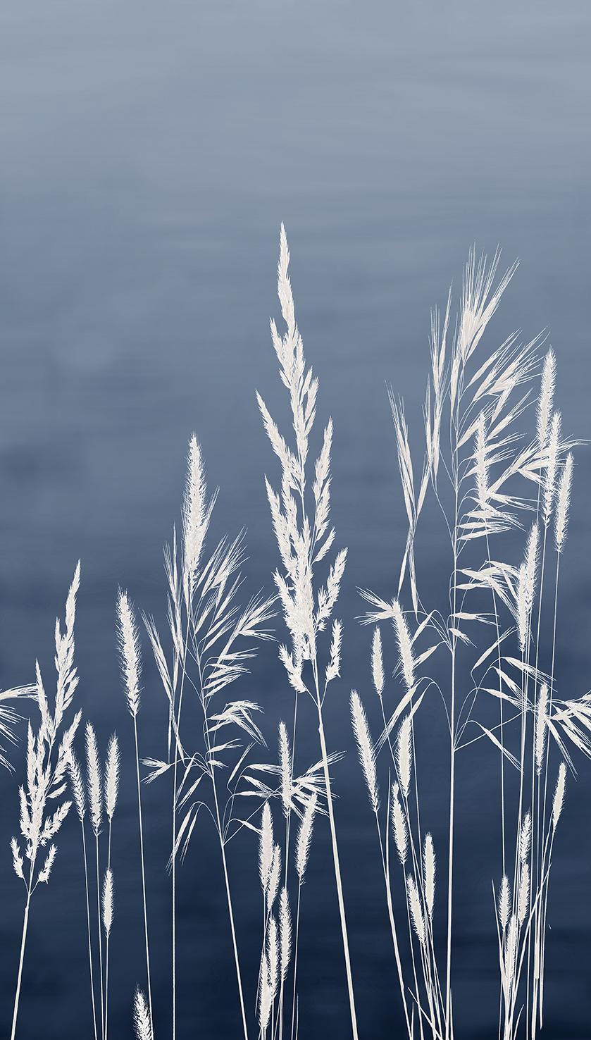 Veer Decor Willow Grass Navy Wall Mural