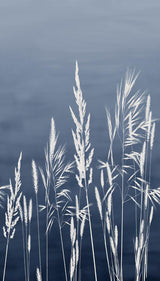 Veer Decor Willow Grass Navy Wall Mural