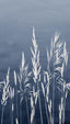 Veer Decor Willow Grass Navy Wall Mural