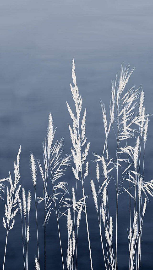 Veer Decor Willow Grass Navy Wall Mural