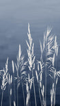 Veer Decor Willow Grass Navy Wall Mural