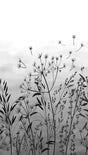Veer Decor Dandelion Drift White Wall Mural